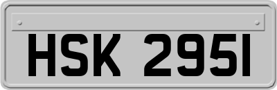 HSK2951