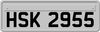 HSK2955