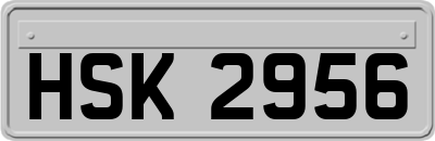 HSK2956