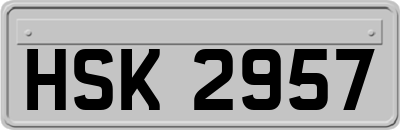 HSK2957