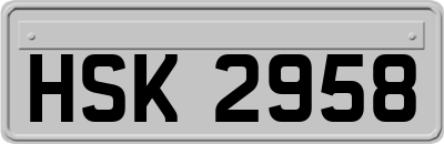HSK2958