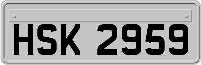 HSK2959