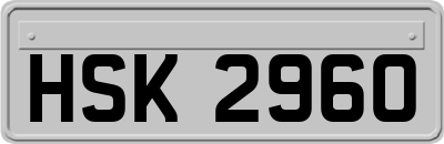 HSK2960