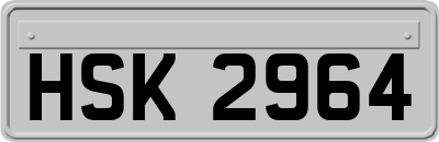 HSK2964