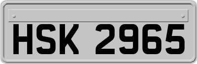 HSK2965