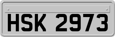 HSK2973