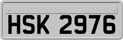 HSK2976