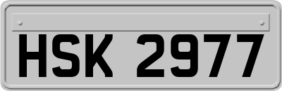 HSK2977