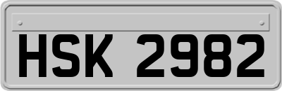 HSK2982