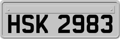 HSK2983