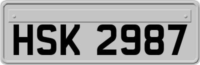 HSK2987