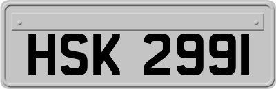 HSK2991