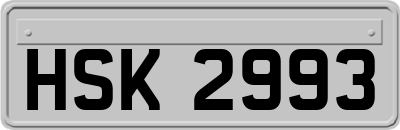 HSK2993