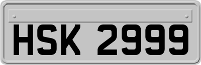 HSK2999