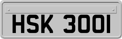 HSK3001