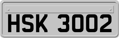 HSK3002