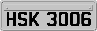 HSK3006