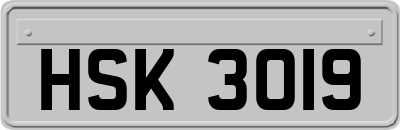 HSK3019