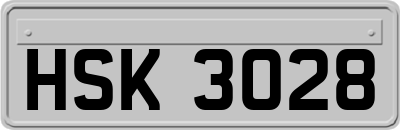 HSK3028