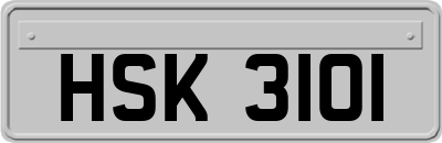 HSK3101