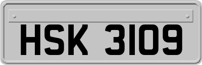 HSK3109