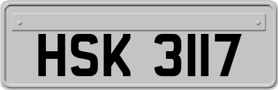 HSK3117