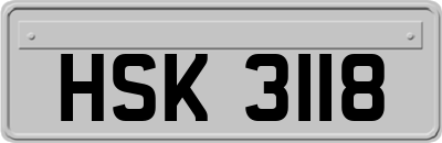 HSK3118