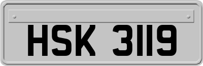 HSK3119