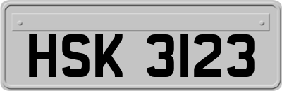 HSK3123