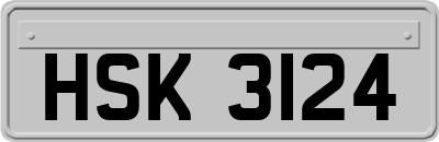 HSK3124