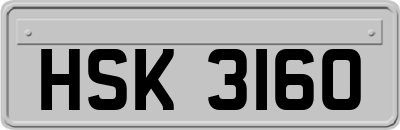 HSK3160