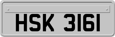 HSK3161