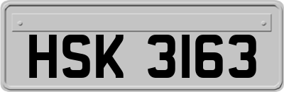HSK3163