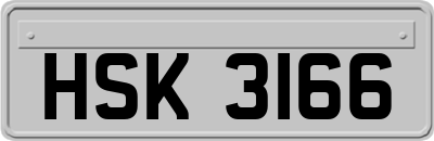 HSK3166