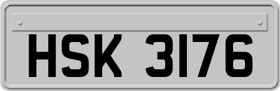 HSK3176