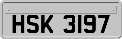 HSK3197