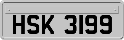HSK3199