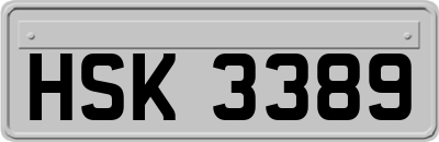 HSK3389