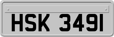 HSK3491