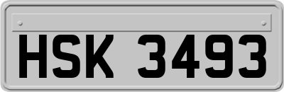 HSK3493