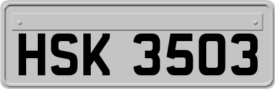 HSK3503