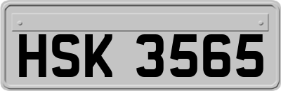 HSK3565