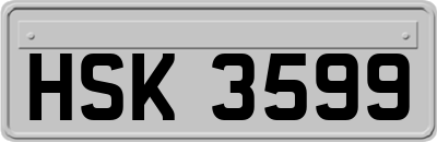 HSK3599