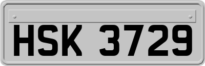 HSK3729