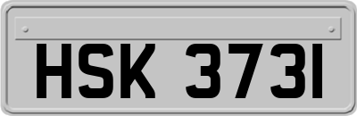 HSK3731