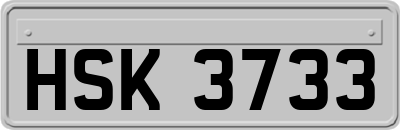 HSK3733