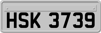 HSK3739