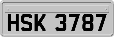 HSK3787