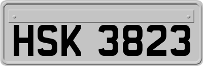 HSK3823