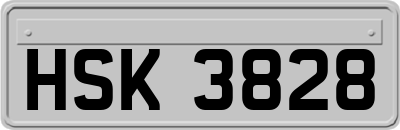 HSK3828